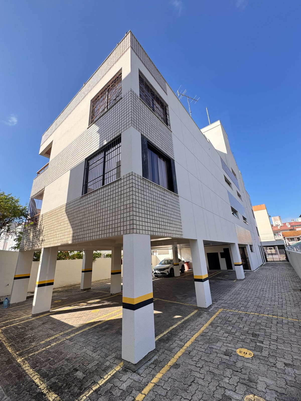 Canas 539