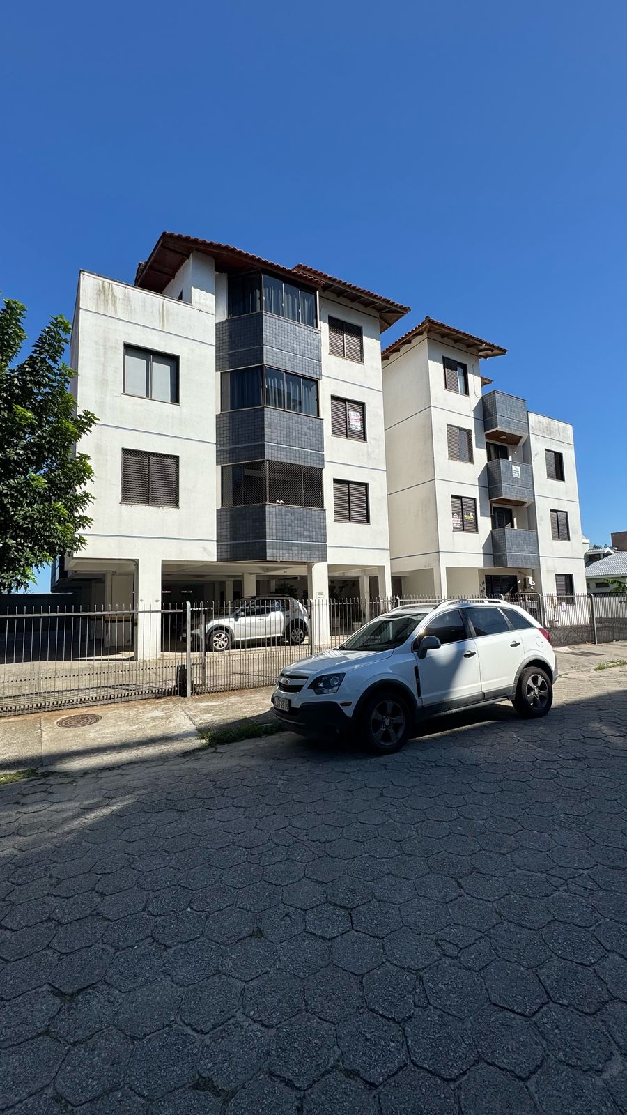 Canas 570